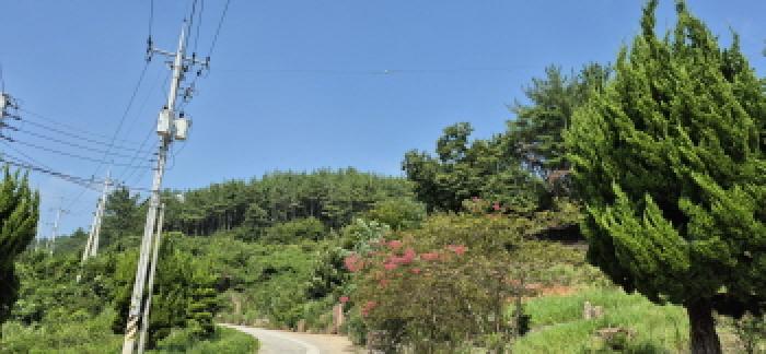 경남 고성군 하일면 임야 경매 물건 사진 2 · 2025타경21783