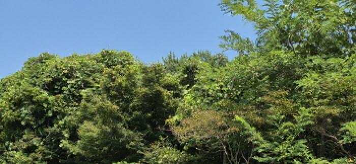 경남 고성군 하일면 임야 경매 물건 사진 5 · 2025타경21783