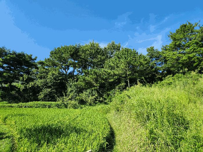 경남 고성군 마암면 전 경매 물건 사진 6 · 2025타경21802