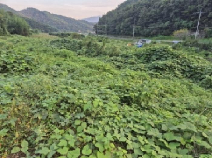 경남 고성군 회화면 대지,임야,전답 경매 물건 사진