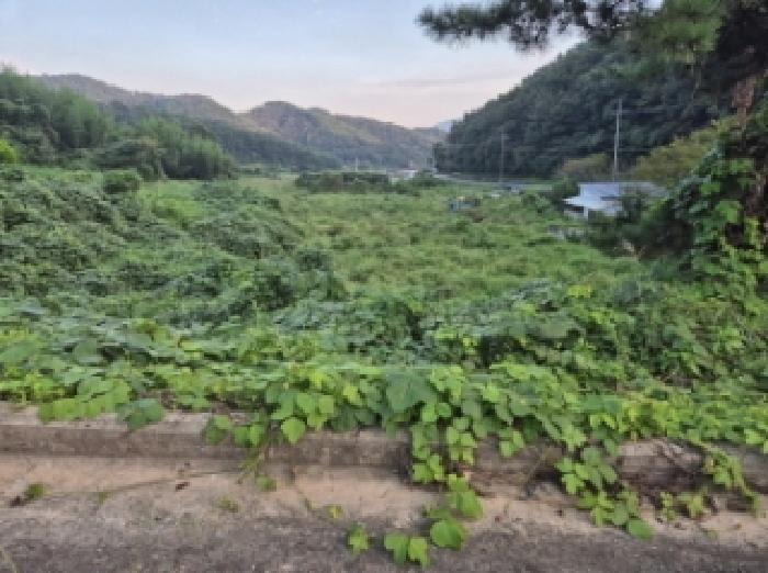 경남 고성군 회화면 대지,임야,전답 경매 물건 사진 3 · 2025타경21822