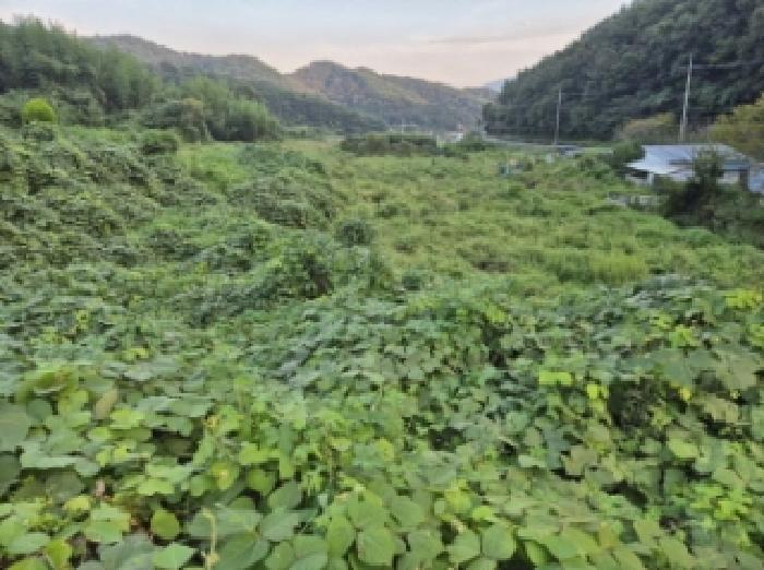 경남 고성군 회화면 대지,임야,전답 경매 물건 사진 4 · 2025타경21822