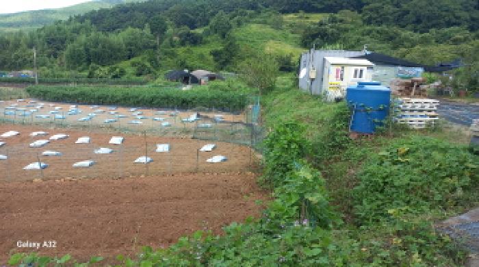 경남 거제시 동부면 대지 경매 물건 사진