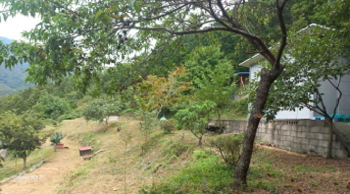 경남 거제시 삼거동 전 경매 물건 사진