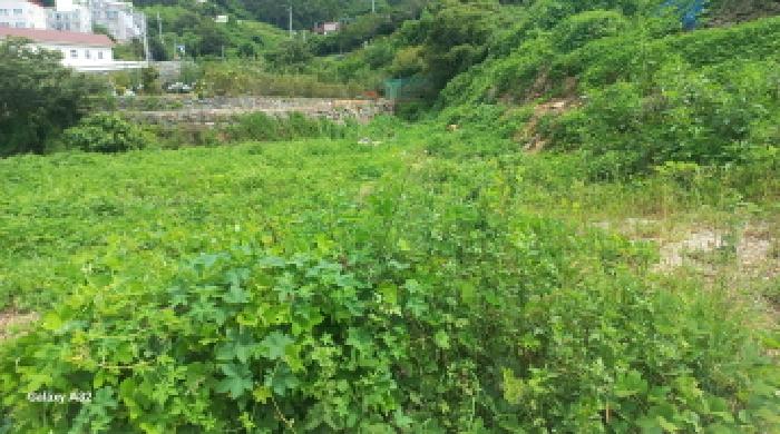 경남 거제시 하청면 답 경매 물건 사진