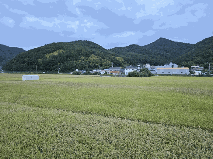 경남 거제시 연초면 답 경매 물건 사진 4 · 2025타경21924
