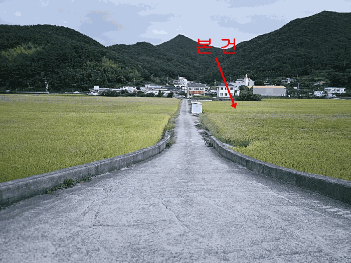 경남 거제시 연초면 답 경매 물건 사진 6 · 2025타경21924