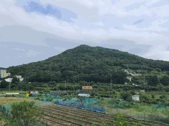 경남 거제시 수월동 임야 경매 물건 사진 5 · 2025타경21929