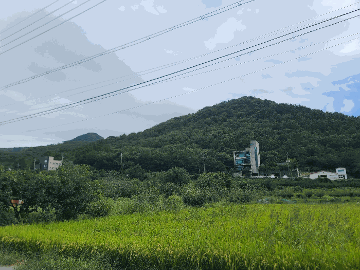경남 거제시 수월동 임야 경매 물건 사진 6 · 2025타경21929