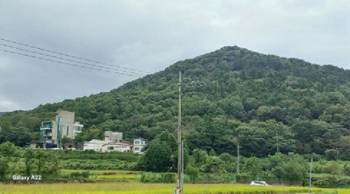 경남 거제시 수월동 임야 경매 물건 사진