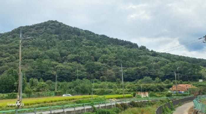 경남 거제시 수월동 임야 경매 물건 사진 3 · 2025타경21929