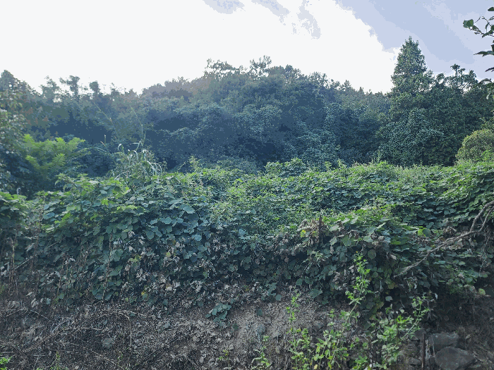 경남 통영시 광도면 전 경매 물건 사진 3 · 2025타경21932