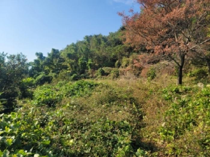 경남 통영시 광도면 전 경매 물건 사진