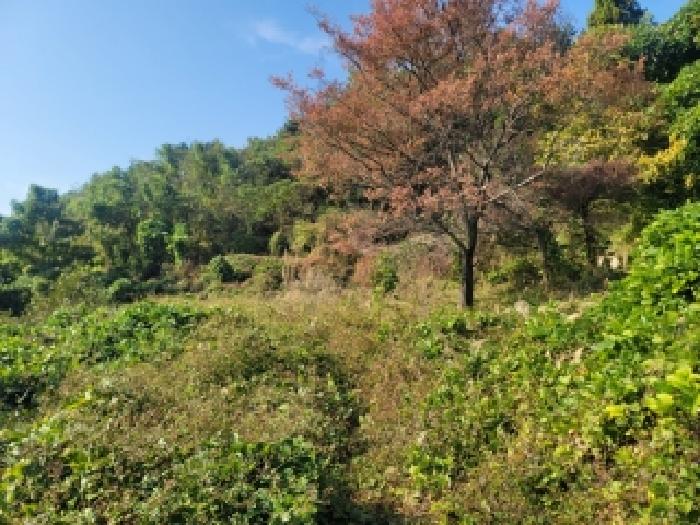 경남 통영시 광도면 전 경매 물건 사진 2 · 2025타경21932