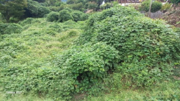 경남 거제시 일운면 전 경매 물건 사진