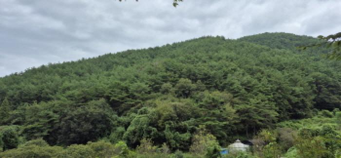 경남 고성군 영현면 임야 경매 물건 사진