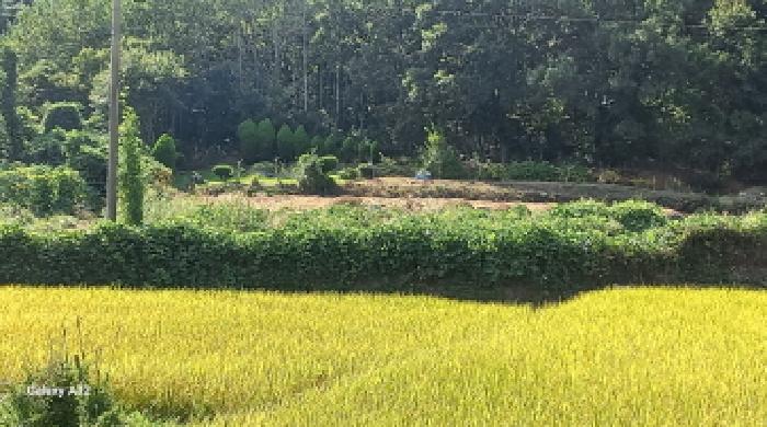 경남 거제시 연초면 전 경매 물건 사진