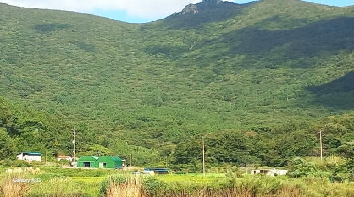 경남 거제시 남부면 임야 경매 물건 사진