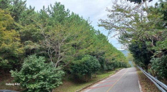 경남 거제시 동부면 임야 경매 물건 사진