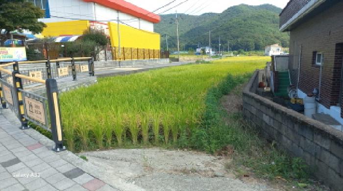 경남 거제시 연초면 답 경매 물건 사진