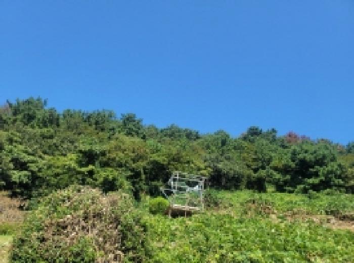 경남 통영시 산양읍 대지,임야,전답 경매 물건 사진