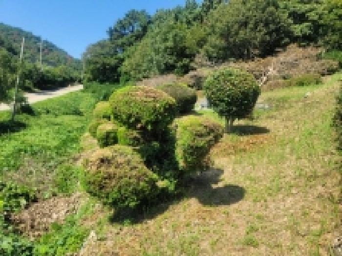 경남 통영시 산양읍 대지,임야,전답 경매 물건 사진 2 · 2025타경22000