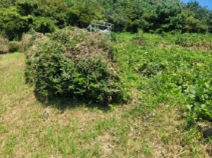 경남 통영시 산양읍 대지,임야,전답 경매 물건 사진 3 · 2025타경22000