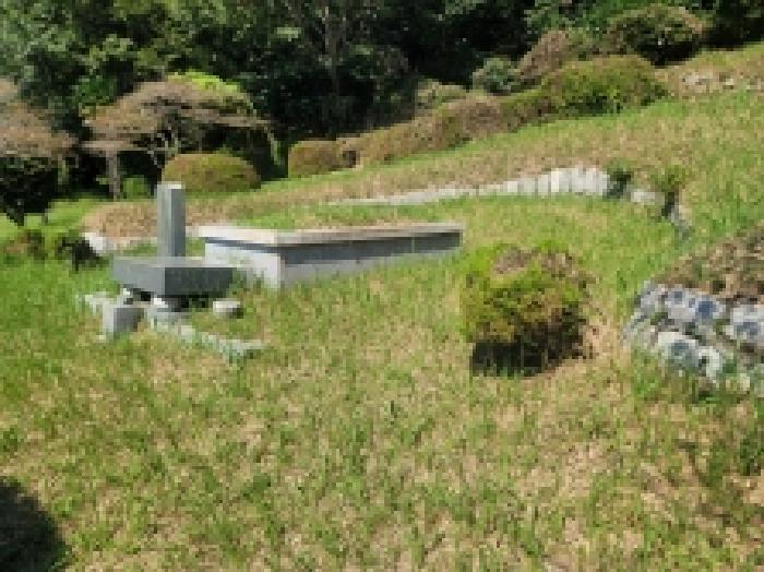 경남 통영시 산양읍 대지,임야,전답 경매 물건 사진 5 · 2025타경22000