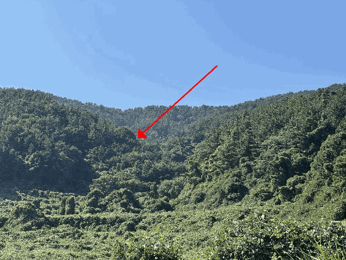 경남 거제시 사등면 임야 경매 물건 사진 5 · 2025타경22005