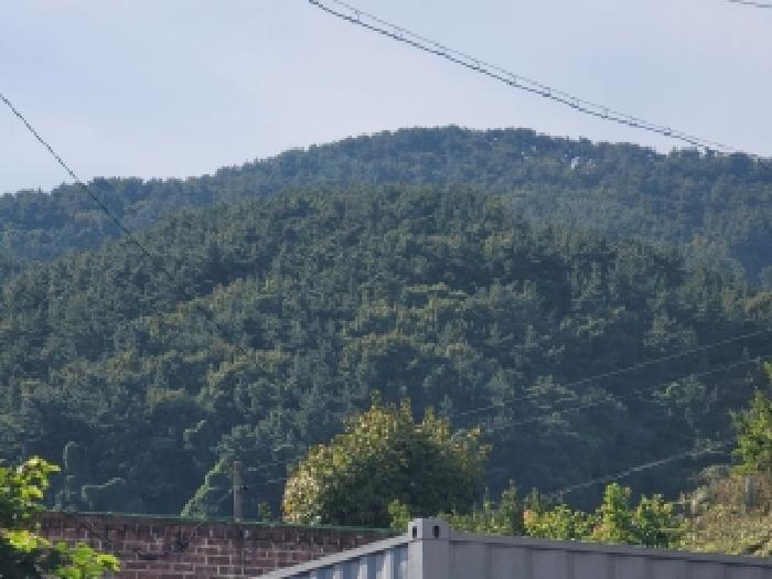 경남 거제시 사등면 임야 경매 물건 사진