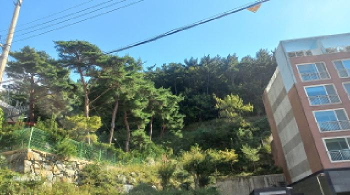 경남 거제시 일운면 임야 경매 물건 사진