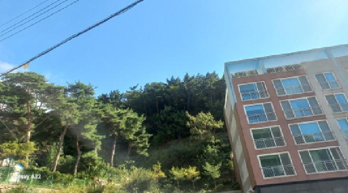 경남 거제시 일운면 임야 경매 물건 사진 2 · 2025타경22051