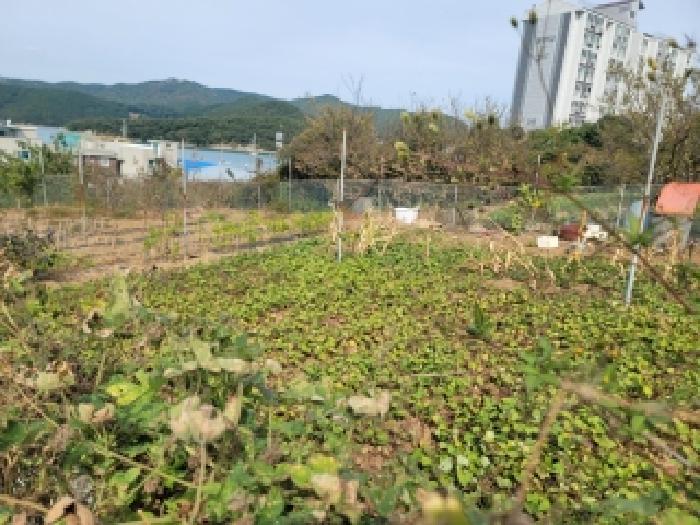 경남 통영시 미수동 전 경매 물건 사진 4 · 2025타경22074