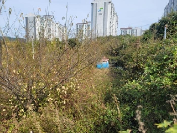 경남 통영시 미수동 전 경매 물건 사진
