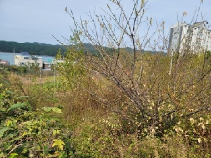 경남 통영시 미수동 전 경매 물건 사진 2 · 2025타경22074