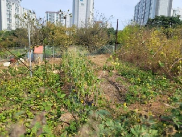 경남 통영시 미수동 전 경매 물건 사진 3 · 2025타경22074