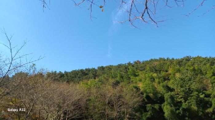 경남 거제시 장목면 임야 경매 물건 사진