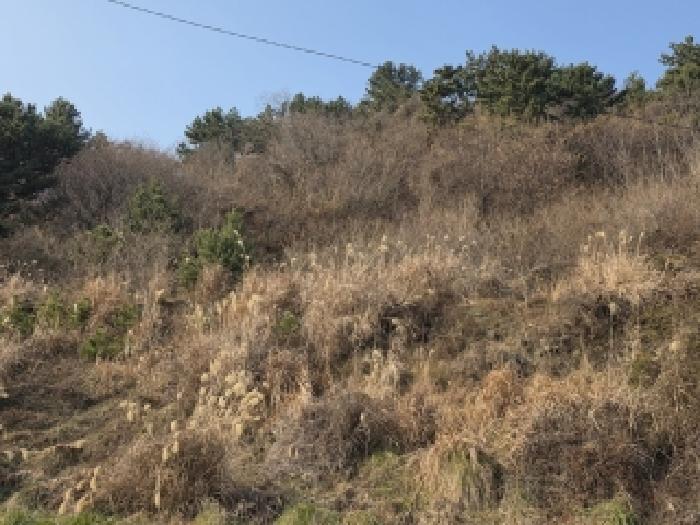 경남 거제시 사등면 전 경매 물건 사진