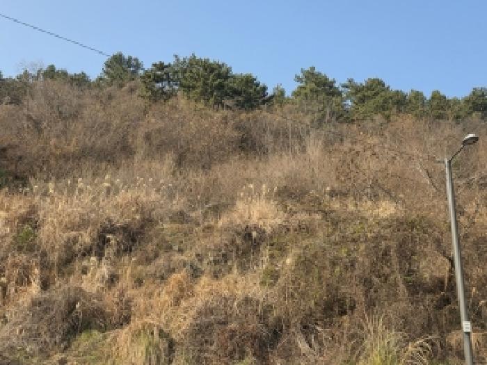 경남 거제시 사등면 전 경매 물건 사진 2 · 2025타경22118