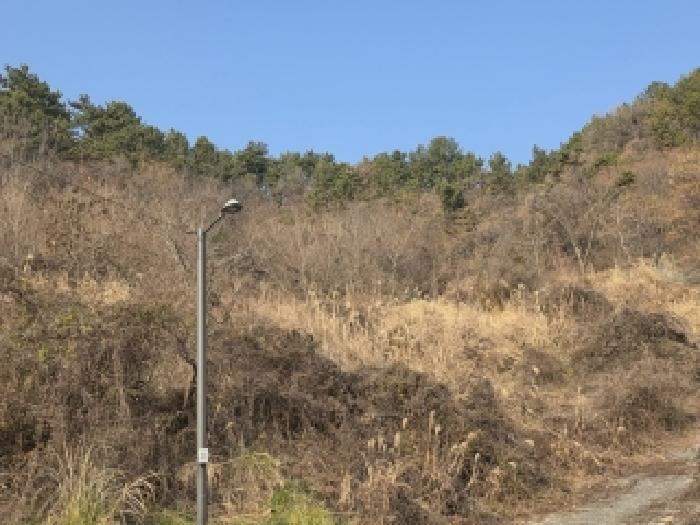 경남 거제시 사등면 전 경매 물건 사진 3 · 2025타경22118