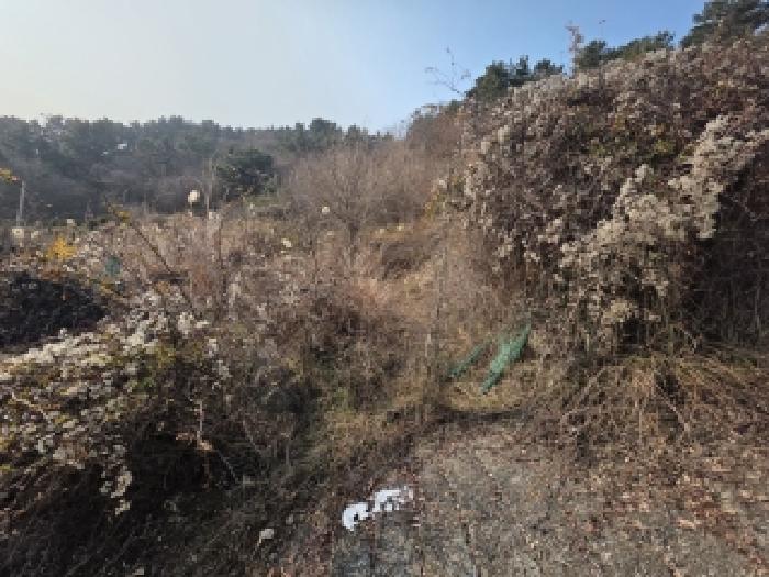 경남 거제시 사등면 전 경매 물건 사진 4 · 2025타경22118