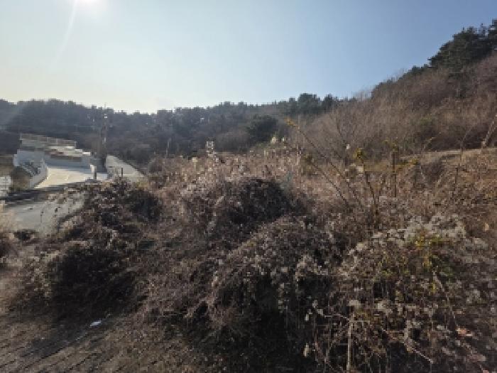 경남 거제시 사등면 전 경매 물건 사진 5 · 2025타경22118