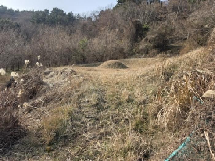 경남 거제시 사등면 전 경매 물건 사진 6 · 2025타경22118