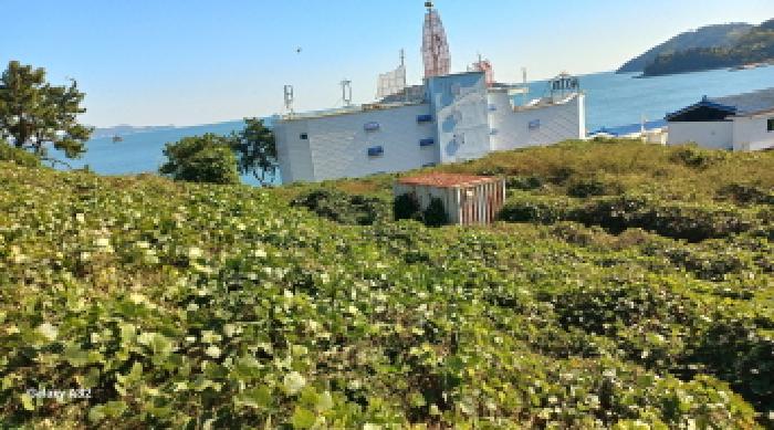 경남 거제시 장목면 전 경매 물건 사진