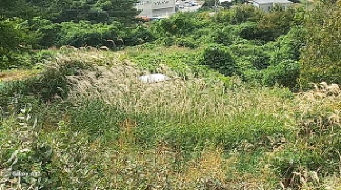 경남 거제시 일운면 전 경매 물건 사진 6 · 2025타경22125