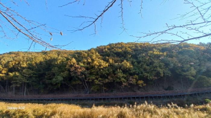 경남 거제시 상동동 임야 경매 물건 사진