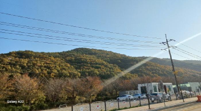 경남 거제시 상동동 임야 경매 물건 사진 3 · 2025타경22136