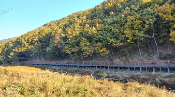경남 거제시 상동동 임야 경매 물건 사진 5 · 2025타경22136