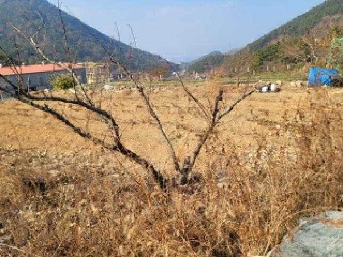 경남 거제시 사등면 답 경매 물건 사진 5 · 2025타경22144