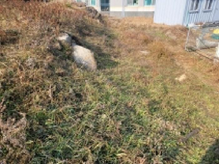 경남 거제시 거제면 대지,임야,전답 경매 물건 사진